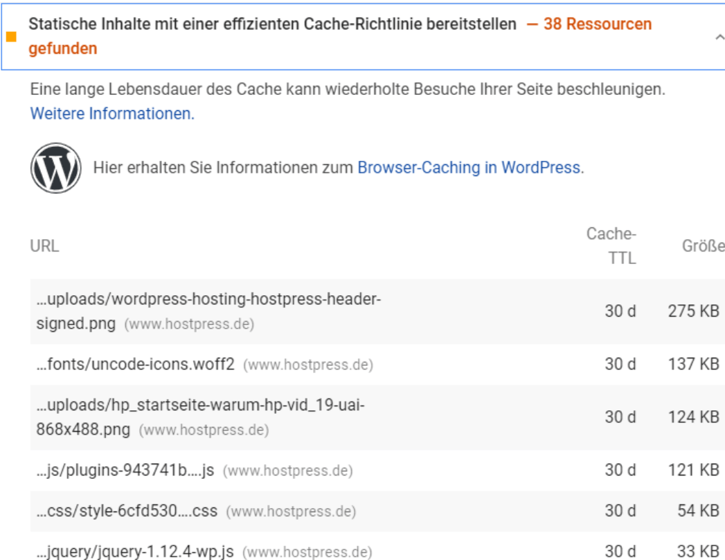 pagespeed cache webhosting