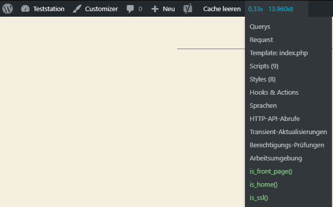 Query Monitor screenshot