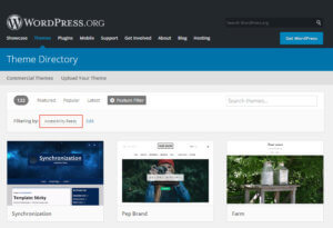 Barrierefreie Themes auf WordPress.org finden