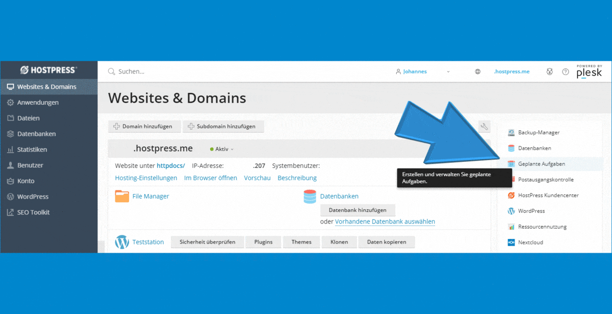wp cronjob - echter cronjob in plesk